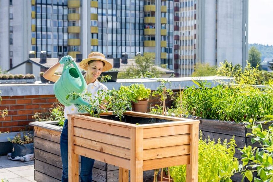 Jardines comestibles en reformas de propiedades urbanas 1 jardines comestibles en reformas de propiedades urbanas